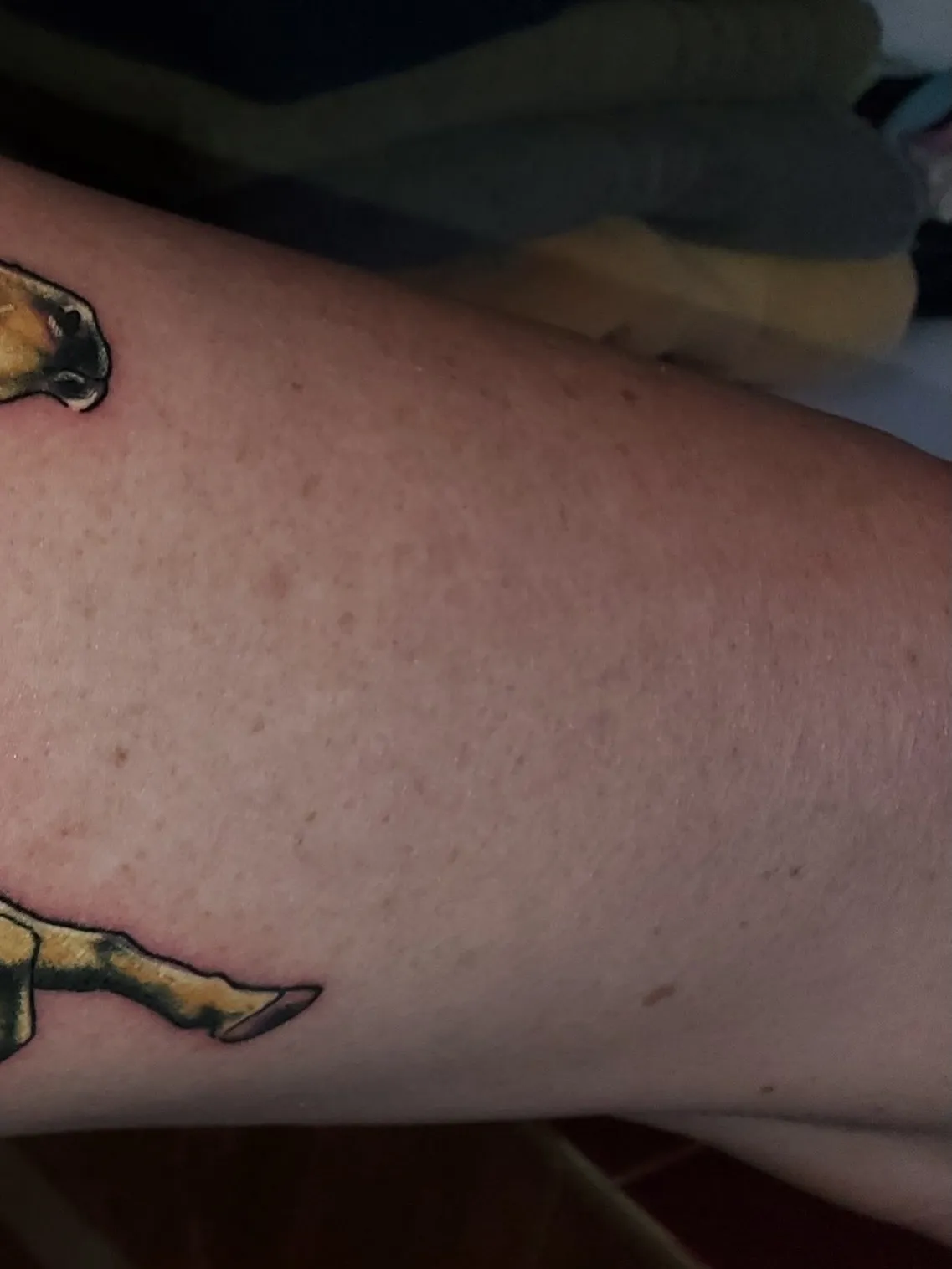 Tattoo by Sam Woodard at Legacy Tattoo Company in Kelso, WA
