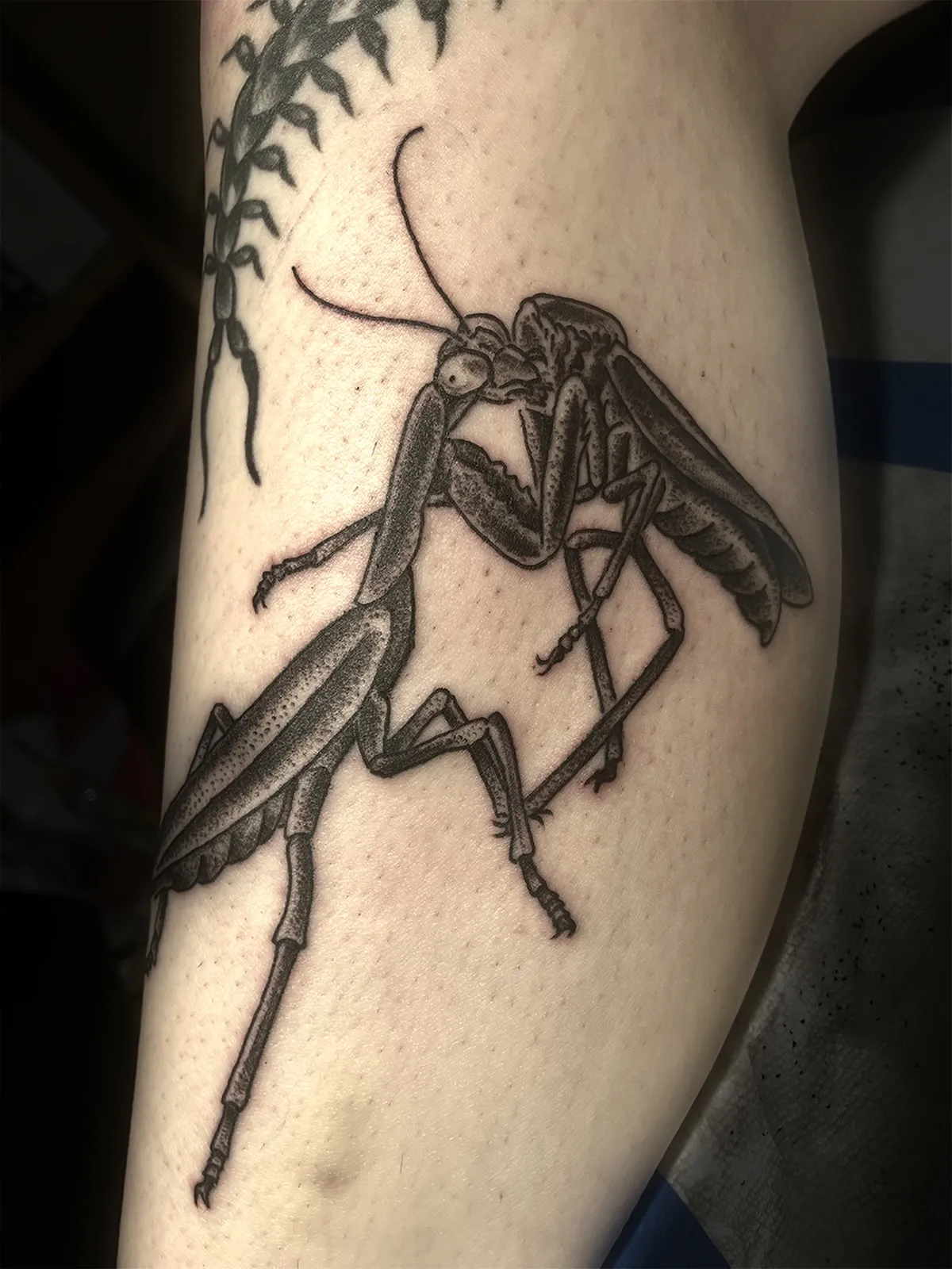 Tattoo by Sam Woodard at Legacy Tattoo Company in Kelso, WA